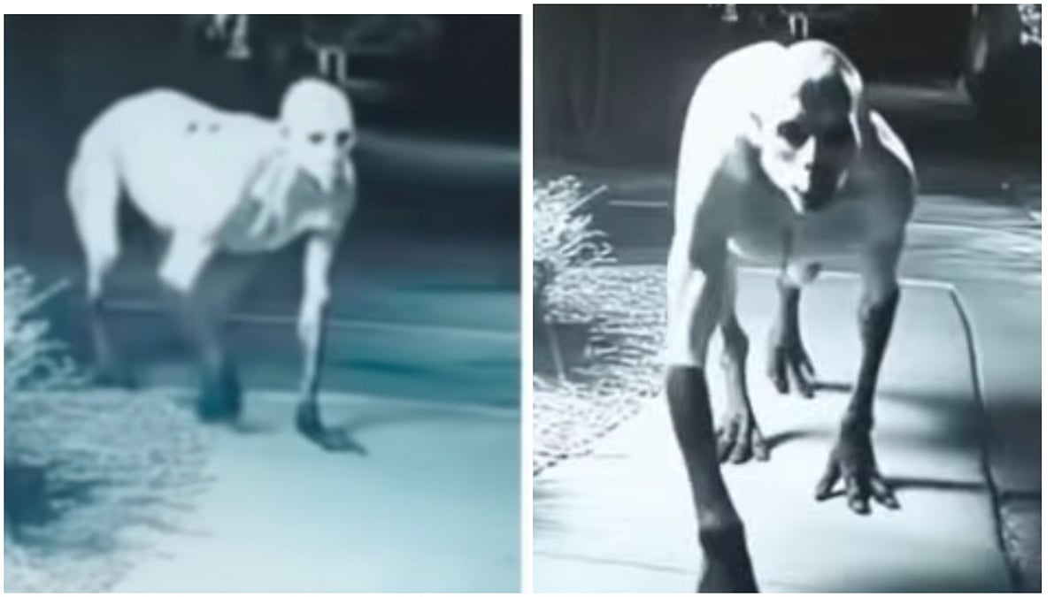 Nashik: Viral ‘Ghost’ Videos In Arai Found To Be AI-Generated, Old Clips