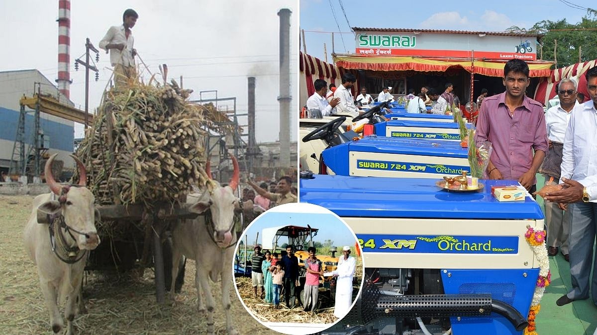 Tractors Replace Toil: Over 18,000 Machines Spare 1 Lakh Bulls From Back-Breaking Sugarcane Labour...