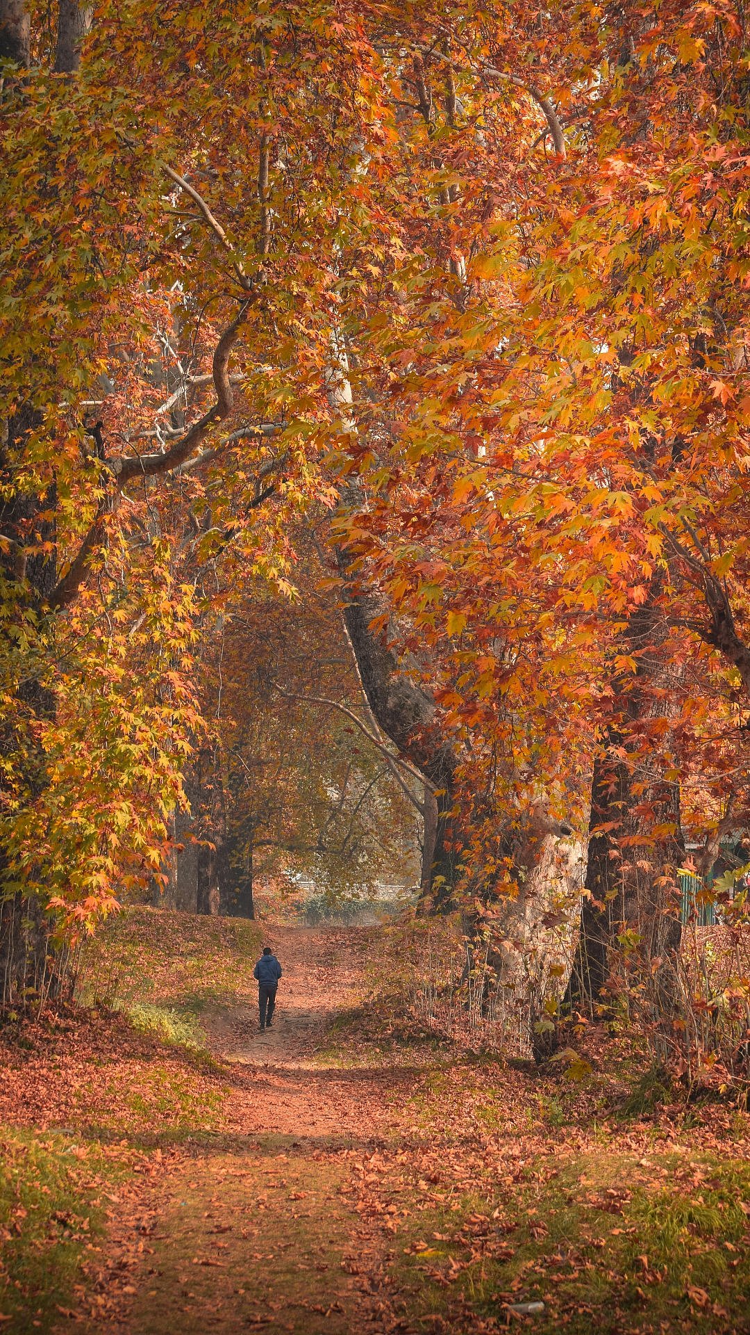 Valentine's Week 2026: 7 Must-Visit Places In North India To Celebrate Love On The Occasion Of Kiss...