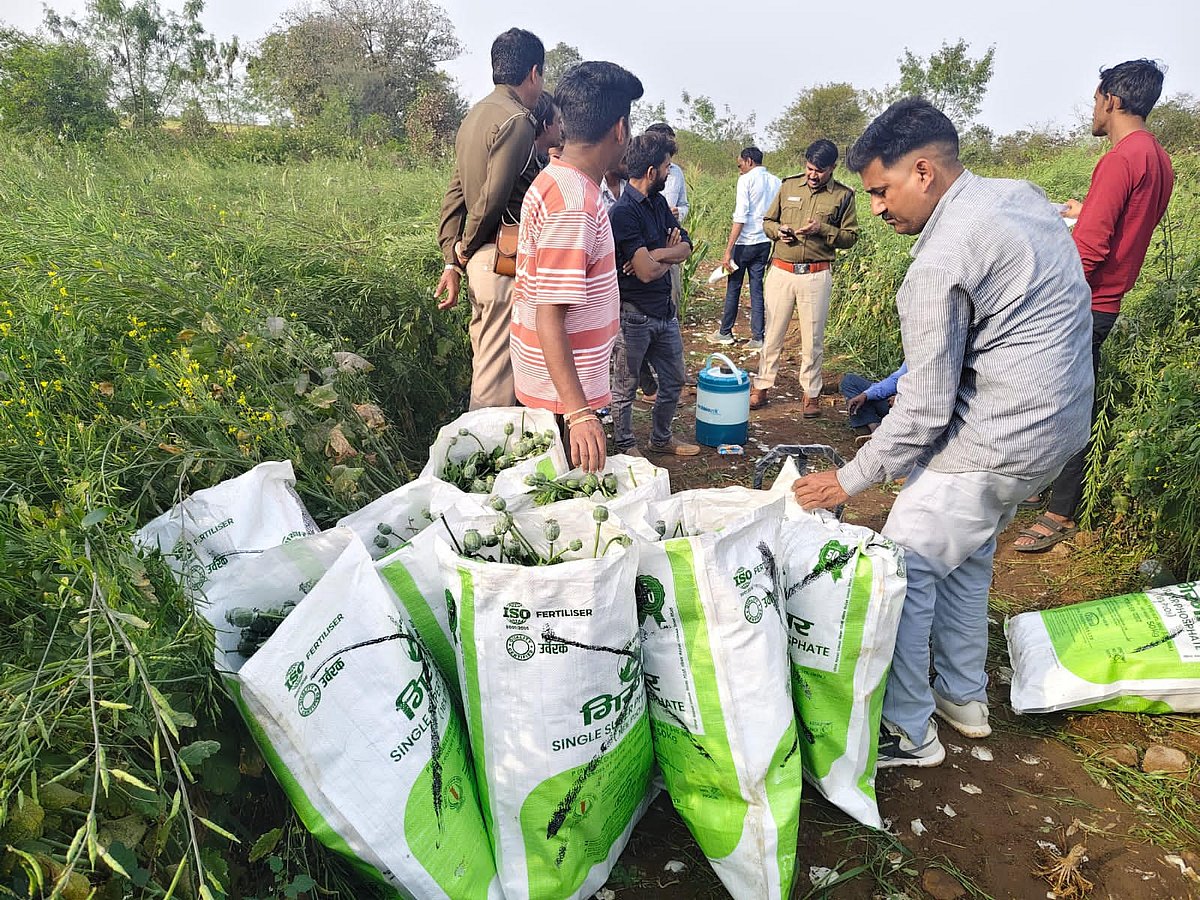 Illegal opium seized in Singoli