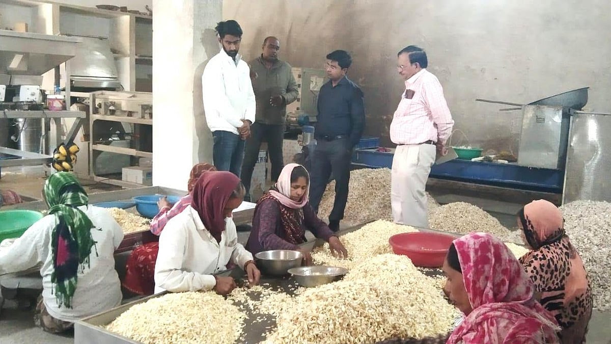 MP News: PMFME Scheme Helps Neemuch Youth Launch Garlic Unit