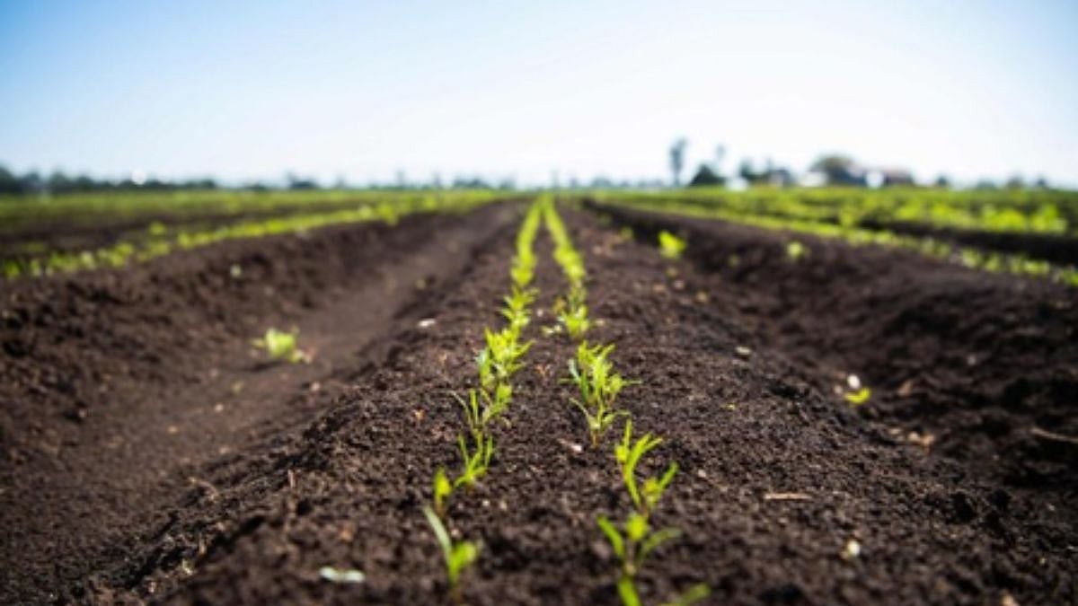 Quad Nations Launch $6 Million AI Initiative To Modernise Agriculture Across US, India, Japan, Australia 