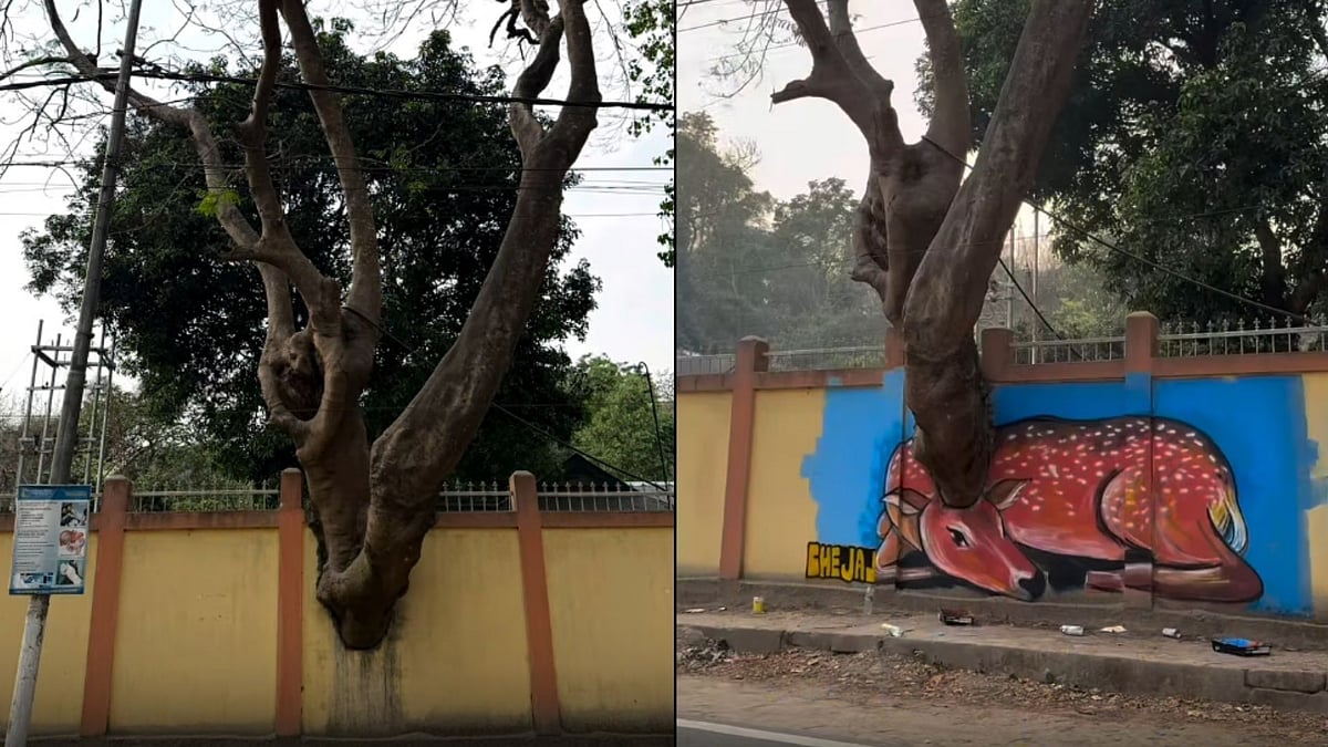 'Superb Talent': Artist Turns Gauhati University's Damaged Wall Into Stunning Deer Mural; Viral Video Wins Internet 