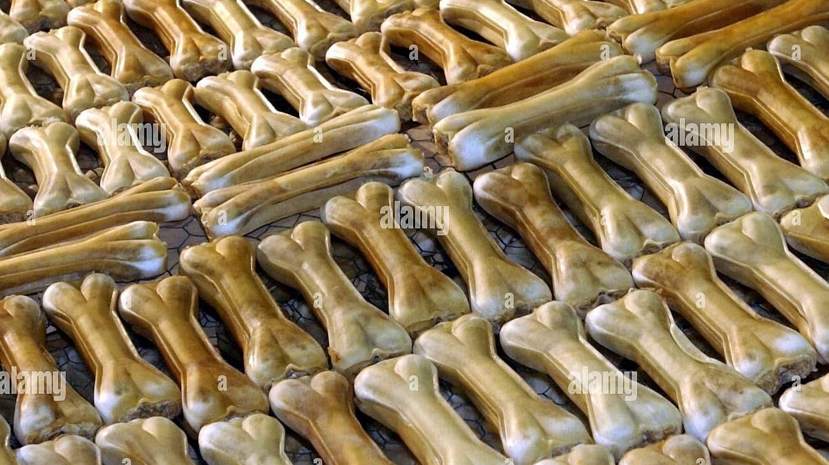 Bhopal News: Foul Smell Emanates From Bone Factory, Polluting The Environment