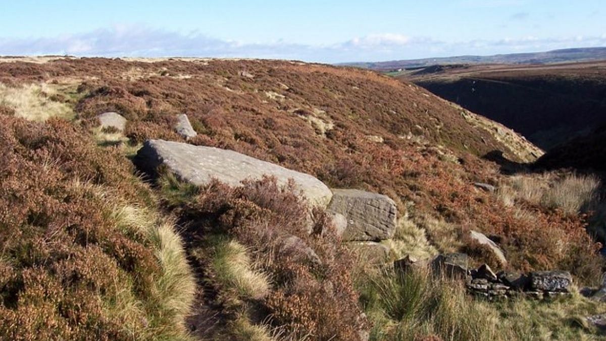 Wuthering Heights: Why Heathcliff Remains Literature’s Most Divisive Romantic Anti-Hero