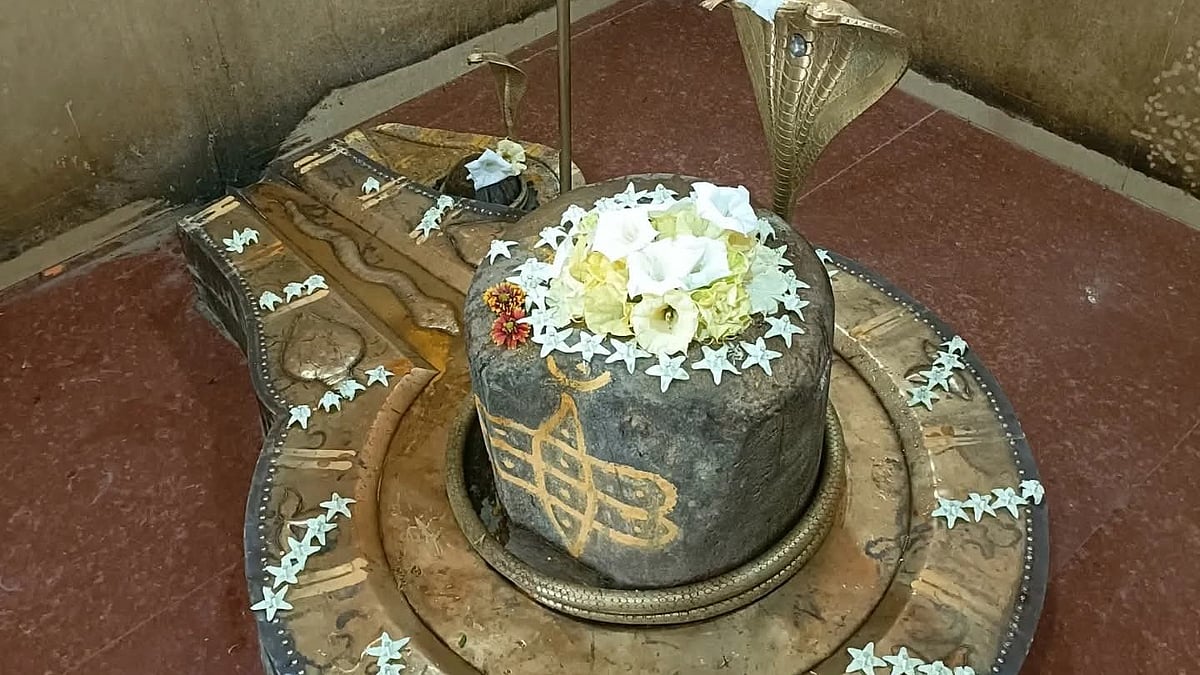 MP News: Devpath Temple, Where Gods Began The Narmada Parikrama