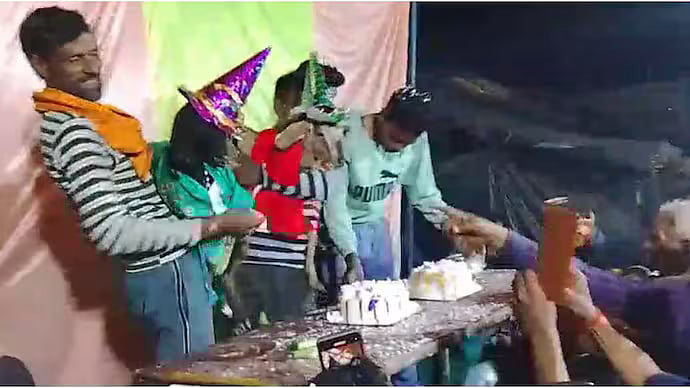 UP: Hardoi Farmer Celebrates Pet Goats 'Sweety' & 'Monica' With Rituals, Printed Invites; Video...