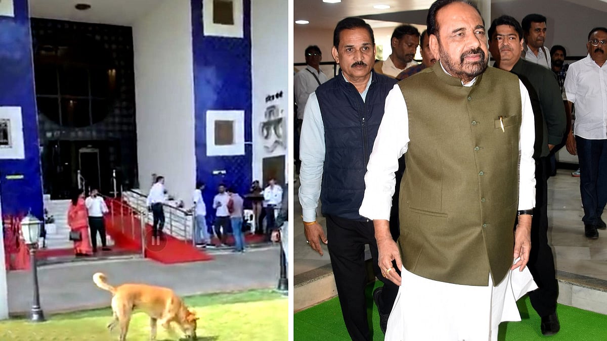 Bhopal News: End Dog Breeding, Says Former Minister Gopal Bhargava