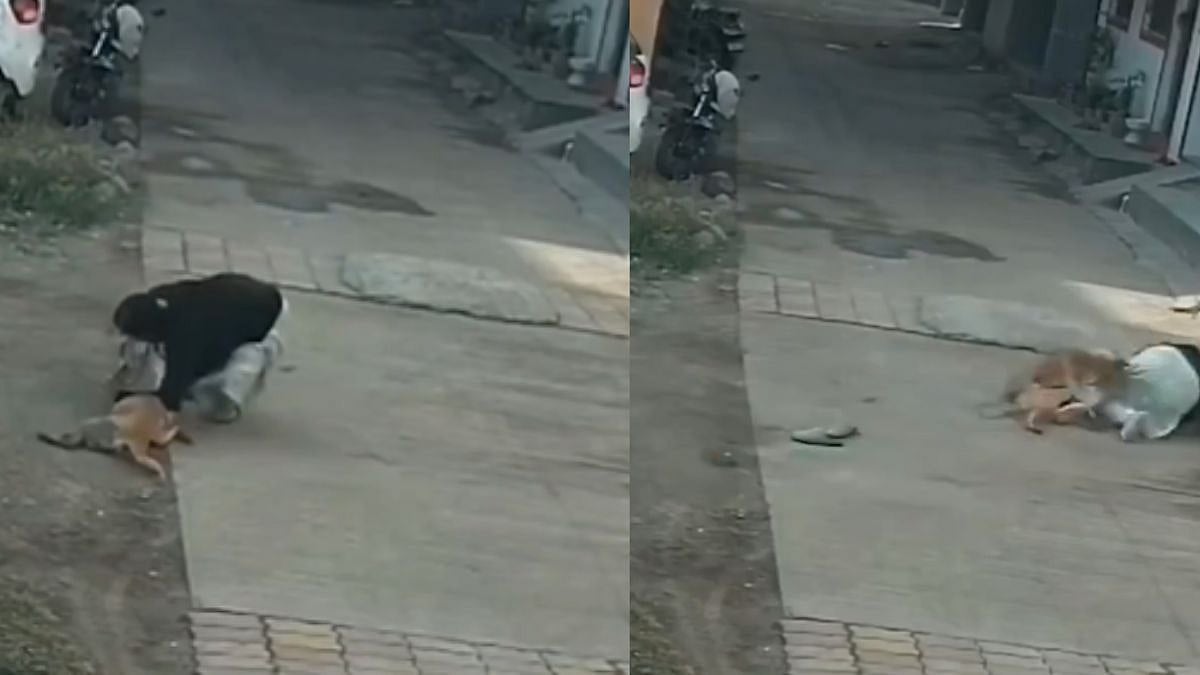 Caught On Camera: Unprovoked Stray Dog Attacks Woman Speaking On Phone