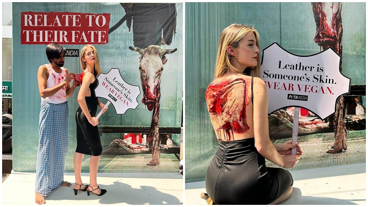 American Influencer Stages ‘Skinned Alive’ Protest On FC Road In Pune Against Leather Industry