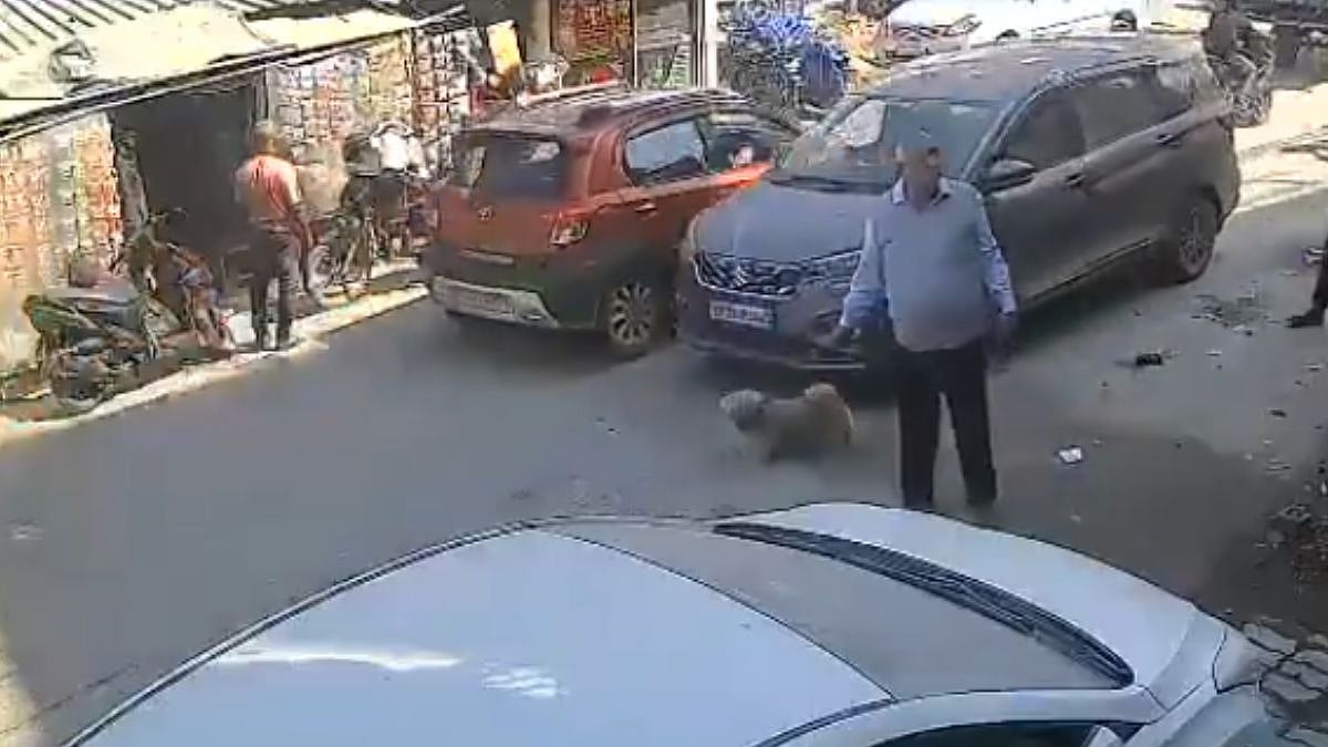 Disturbing Video! Pet Dog Dies After Maruti Suzuki Ertiga Runs Over It In Kanpur; Case Filed