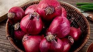 Onion Export Decline: ₹2,137 Crore Earned In Eight Months, Yet 20% Drop Raises Alarm In Nashik