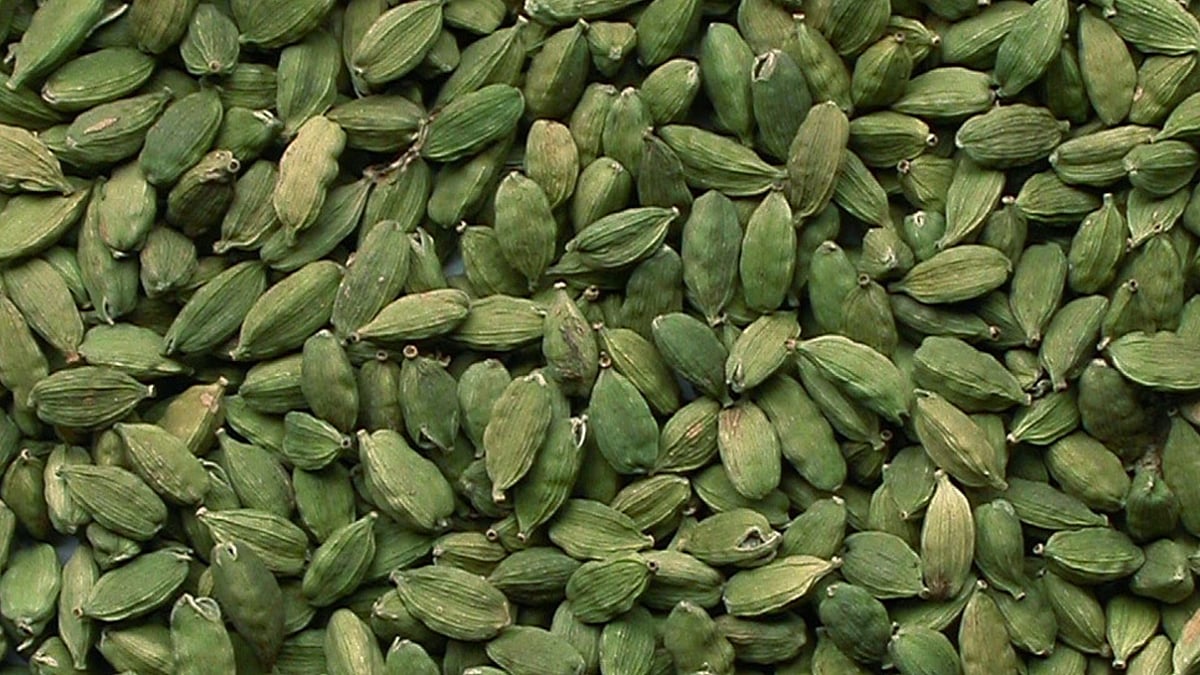 From Respiration To Digestion: Ayurveda Shares Health Benefits Of Cardamom