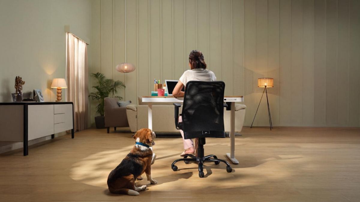 How To Choose The Right Office Chair For Long Working Hours At Home