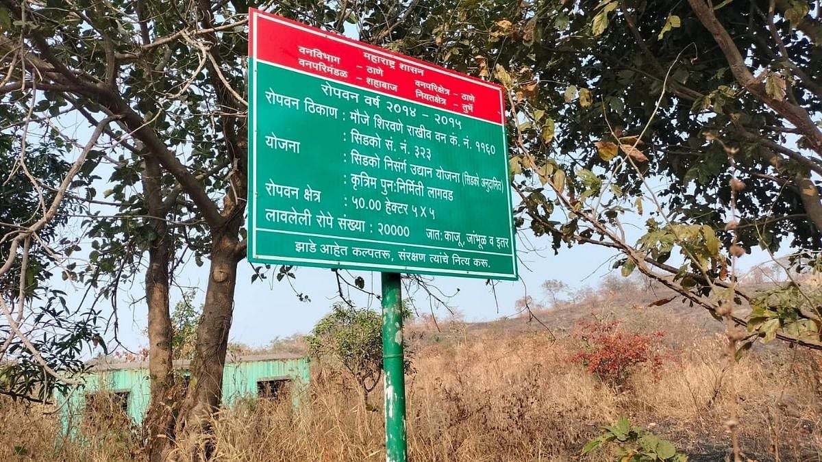 Navi Mumbai Environment Row: Activists Allege CIDCO Plantation Drives Exist Only On Paper, Demand Audit And Action 