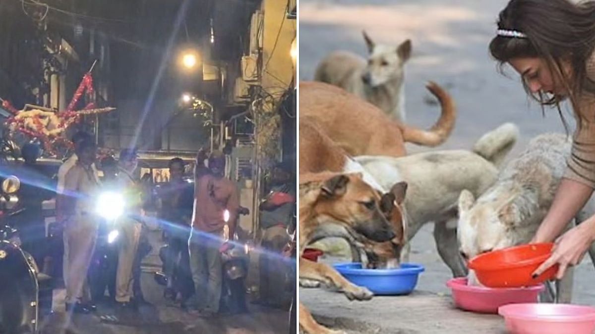 Mumbai News: Man Booked For Harassing 76-Year-Old Woman Feeding Stray Cats In Colaba 