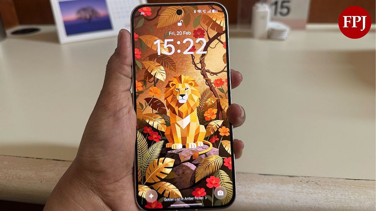 Oppo Reno 15 Pro Mini 5G: Display
