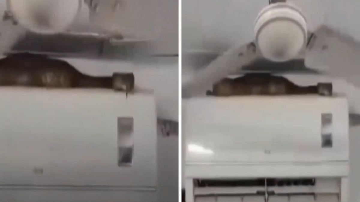 VIDEO: 7-Foot Indian Rat Snake Spotted On AC Unit In Mumbai’s Vile Parle, Rescued Safely | 