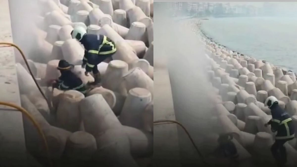 Mumbai: Fire Breaks Out Along Coastal Road; Firefighting Operations Underway - WATCH 