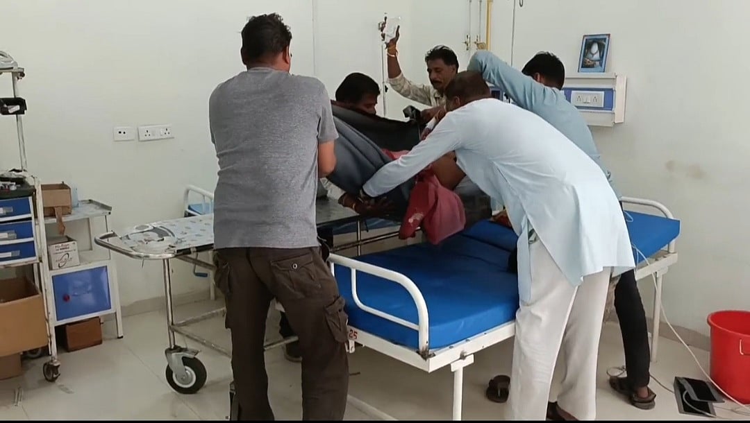 MP News: Bee Attack Leaves Four Injured In Manasa | FP Photo