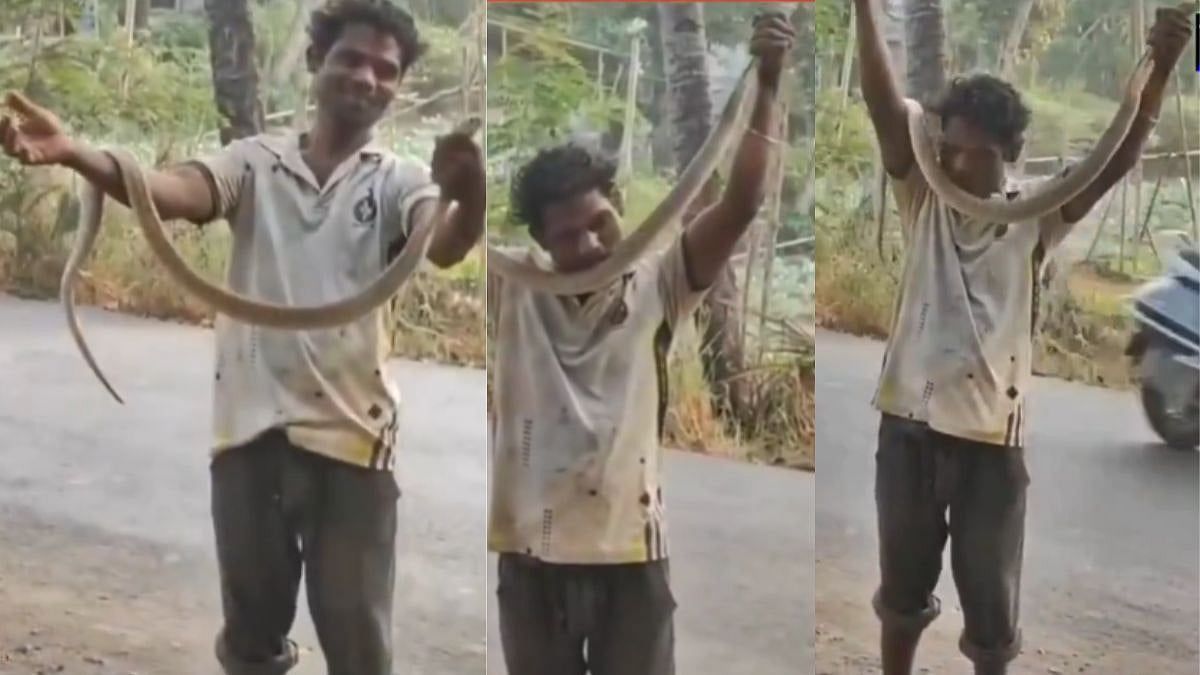 Virar Tragedy: 40-Year-Old Dies After Risky Snake Stunt In Navapur; Video Goes Viral 