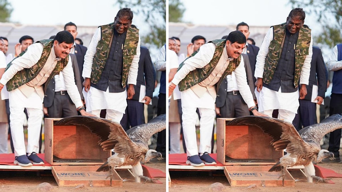 MP News: CM Mohan Yadav Releases 5 Rescued Vultures Into The Wild