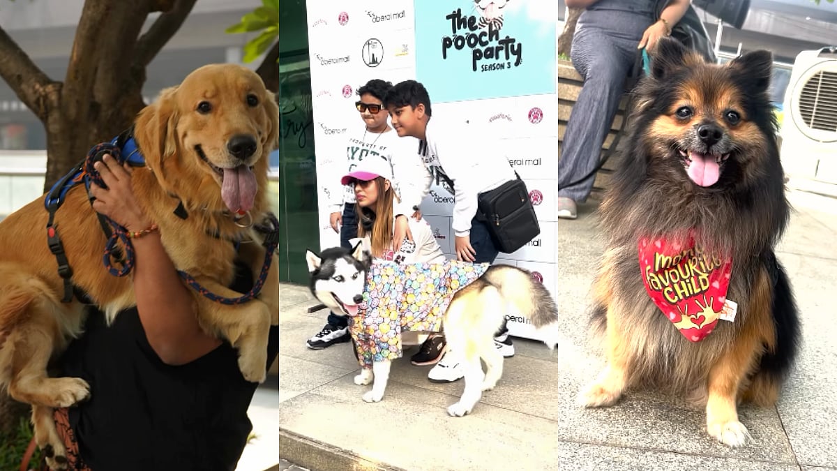 Pets On The Ramp! Adorable Dogs Take Over 'The Pooch Party' In Mumbai 