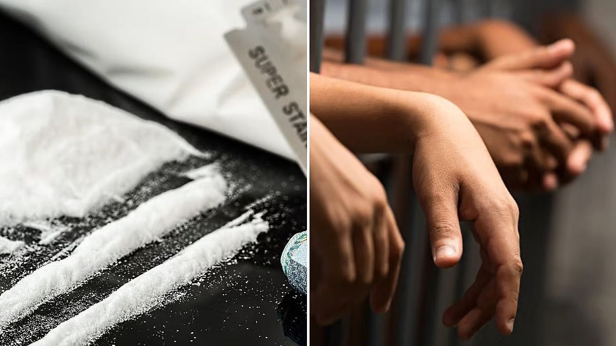 Mumbai Police Seize ₹7.14 Crore Drugs In January, Arrest 85 Accused In 69 Cases Across City 