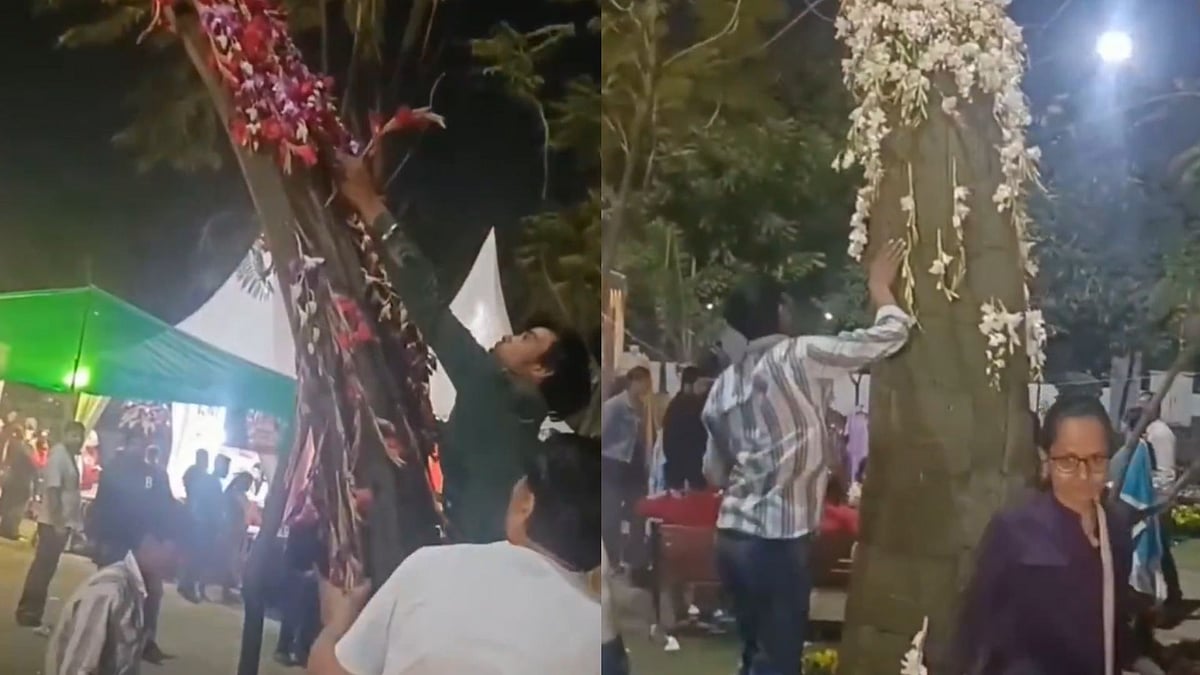 'Sab Padhe Likhe Gawaar Hai': Noida Flower Festival's Viral Video Show Visitors Stealing Flowers At Shivalik Park; Spark Civic Sense Debate 