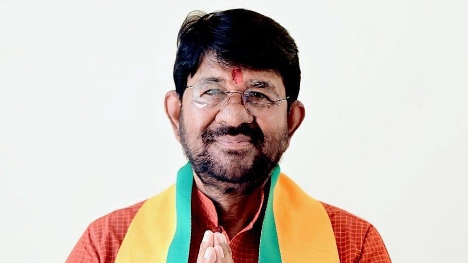 MP News: Stray Cows Off Roads Within 2 Years, Says Animal Husbandry Minister Lakhan Patel | 