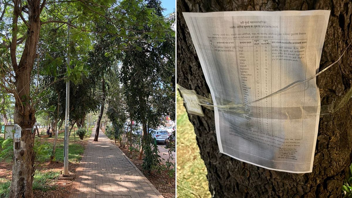 Navi Mumbai News: Residents To Form Silent Human Chain On Sunday Against NMMC Plan To Remove 440 Trees On Palm Beach Road For Tunnel Project 