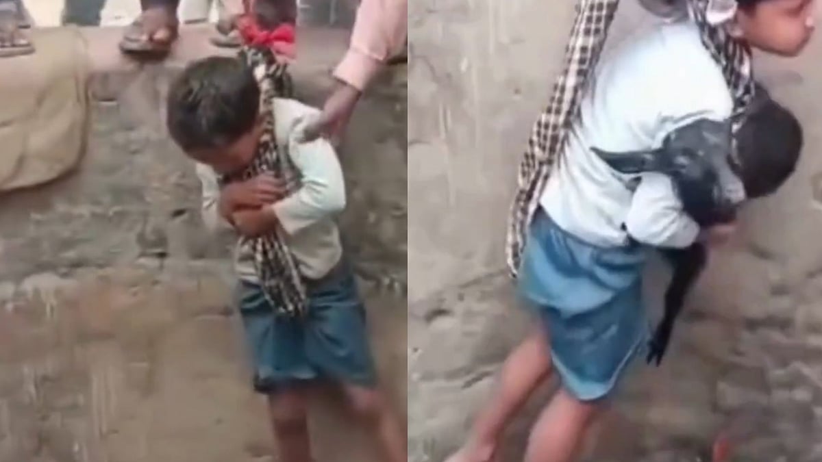 Viral Video: Child Tied To Rope & Sent Down 40-Foot Well To Rescue A Baby Goat In Bihar 
