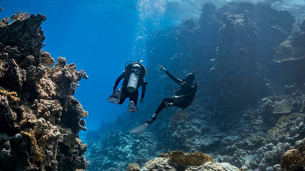PADI Introduces Hindi eLearning To Make Scuba Diving More Accessible For Indians 