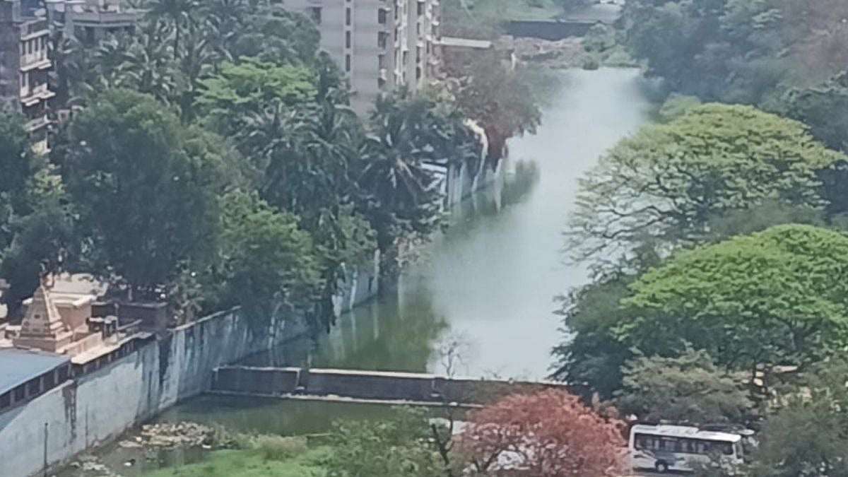 Mumbai News: 12th 'River March' To Be Held At Dahisar On March 8 To Demand Clean And Rejuvenated Rivers 