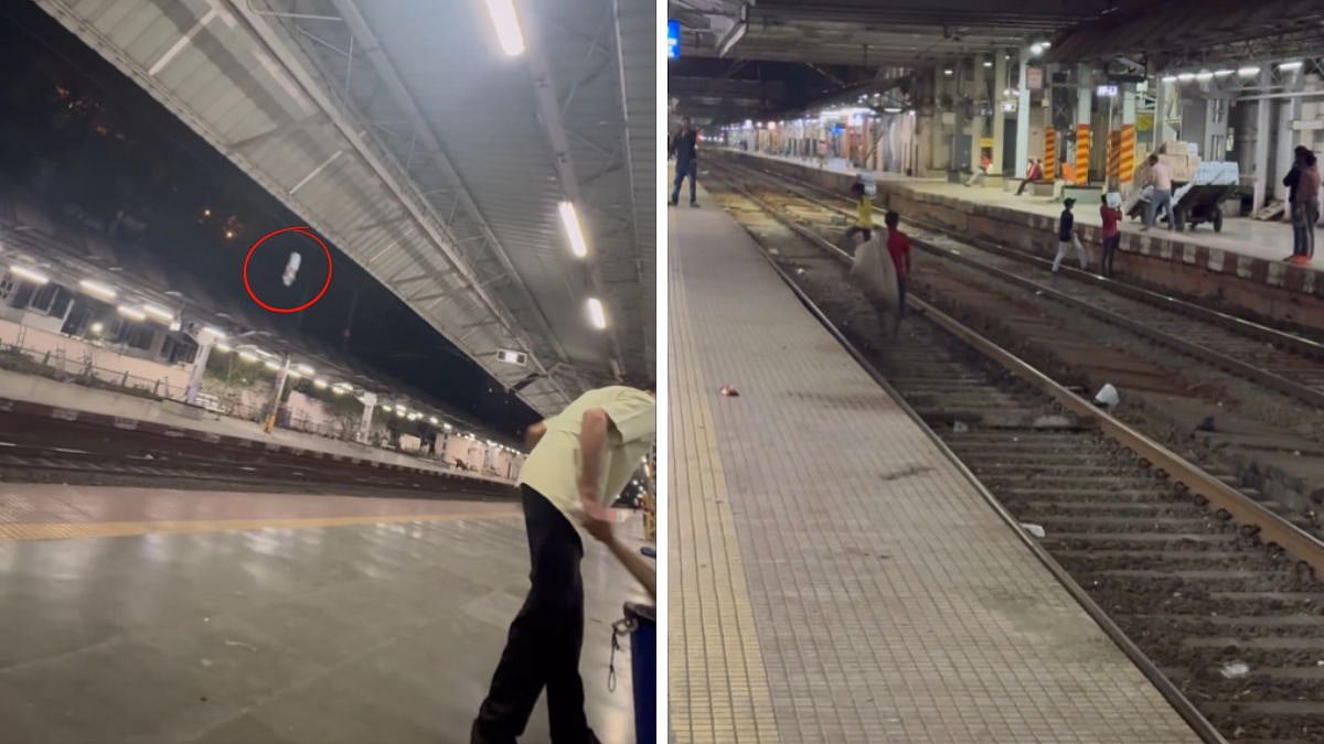 Cleanliness Or Chaos? Viral Video Shows Dadar Station Sweeper Tossing Plastic Bottles On Railway Tracks - WATCH 