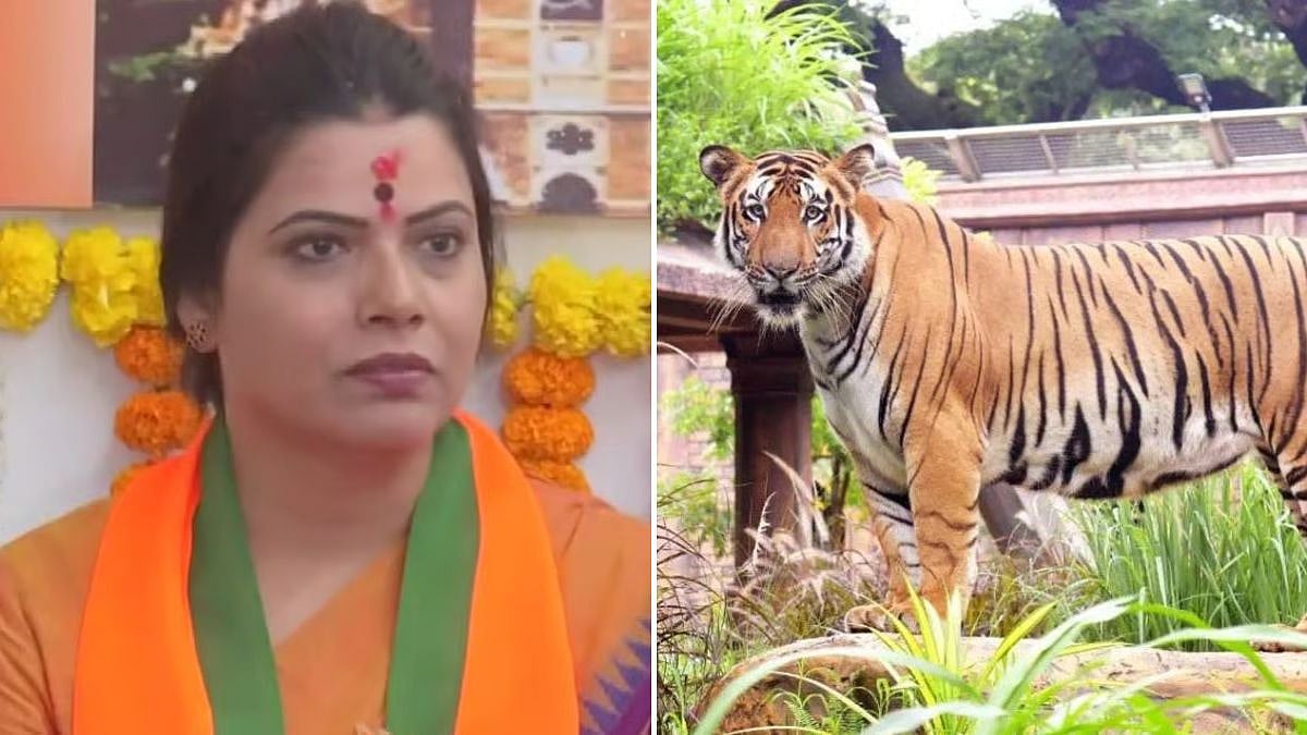 After 12-Year Wait, Mayor Ritu Tawde Revives Bid To Bring Asiatic Lions Back To Mumbai's Byculla Zoo 