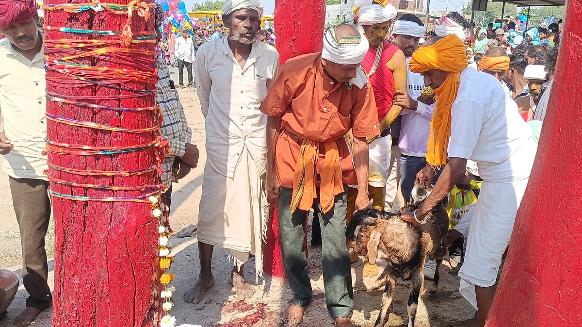 MP News: In Bhil Community’s ‘Gal’ Ritual, Faith Meets Tradition On Dhulendi