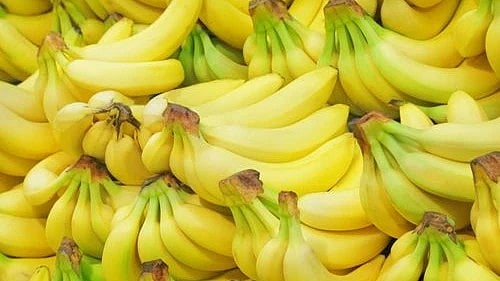 Gulf War Disrupts Jalgaon Exports; Banana Prices Fall, And Plastic Mat Shipments Halted