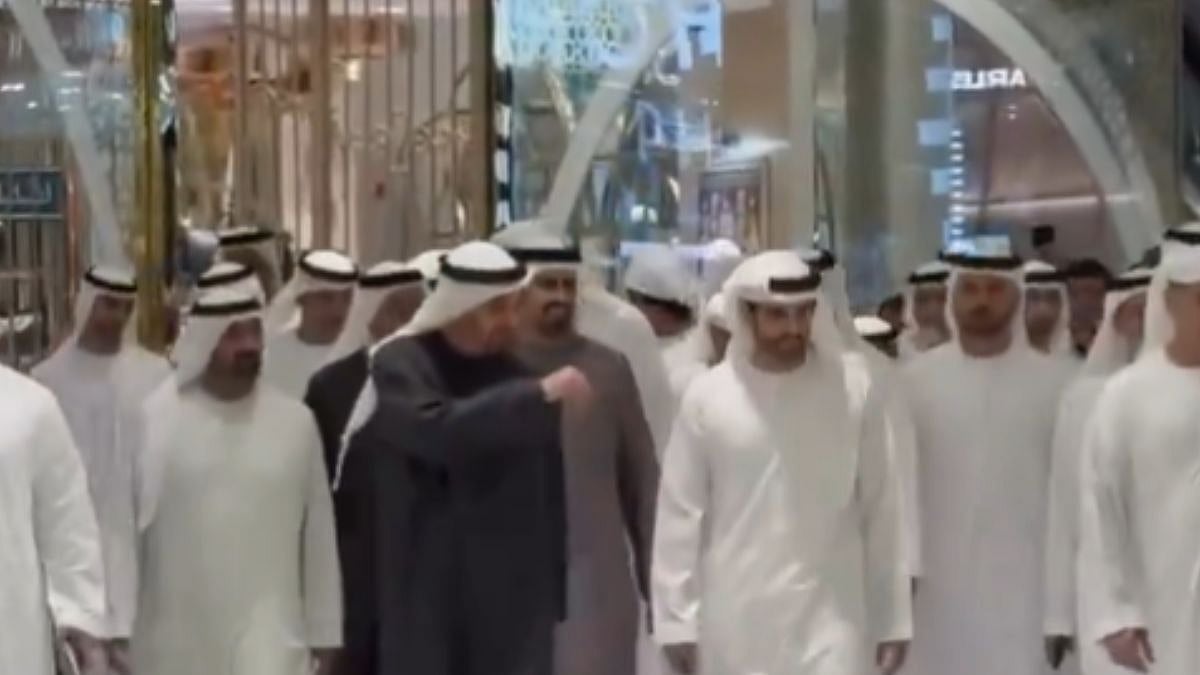 US–Iran–Israel War: UAE President & Crown Prince Walk Into Dubai Mall Amid Tensions In West Asia - VIDEO 