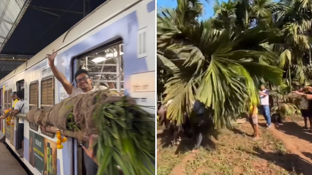 Mumbai: Long Tree Trunk Meant For Holi Transported From Virar To Mahim After Being Tied Outside Local Train Coaches, 6 Booked | Video 