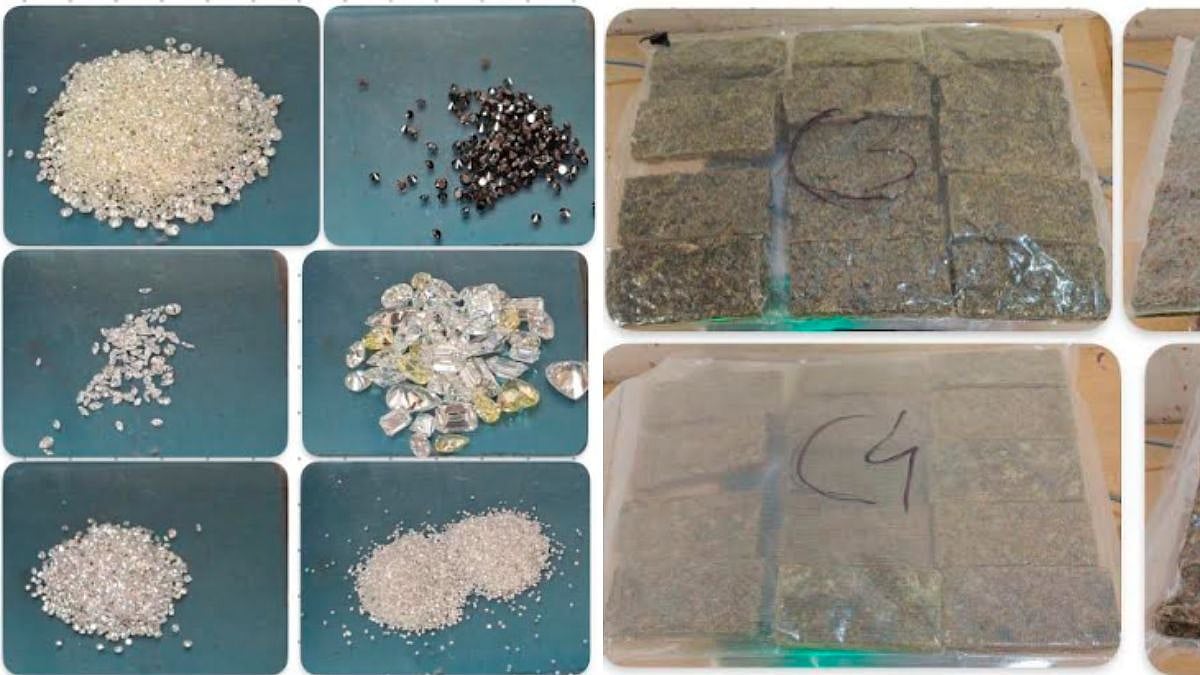 Mumbai Airport Customs Seizes Drugs Worth Over ₹45 Crore In Week-Long Operation; 9 Arrested In Hydroponic Weed Haul 