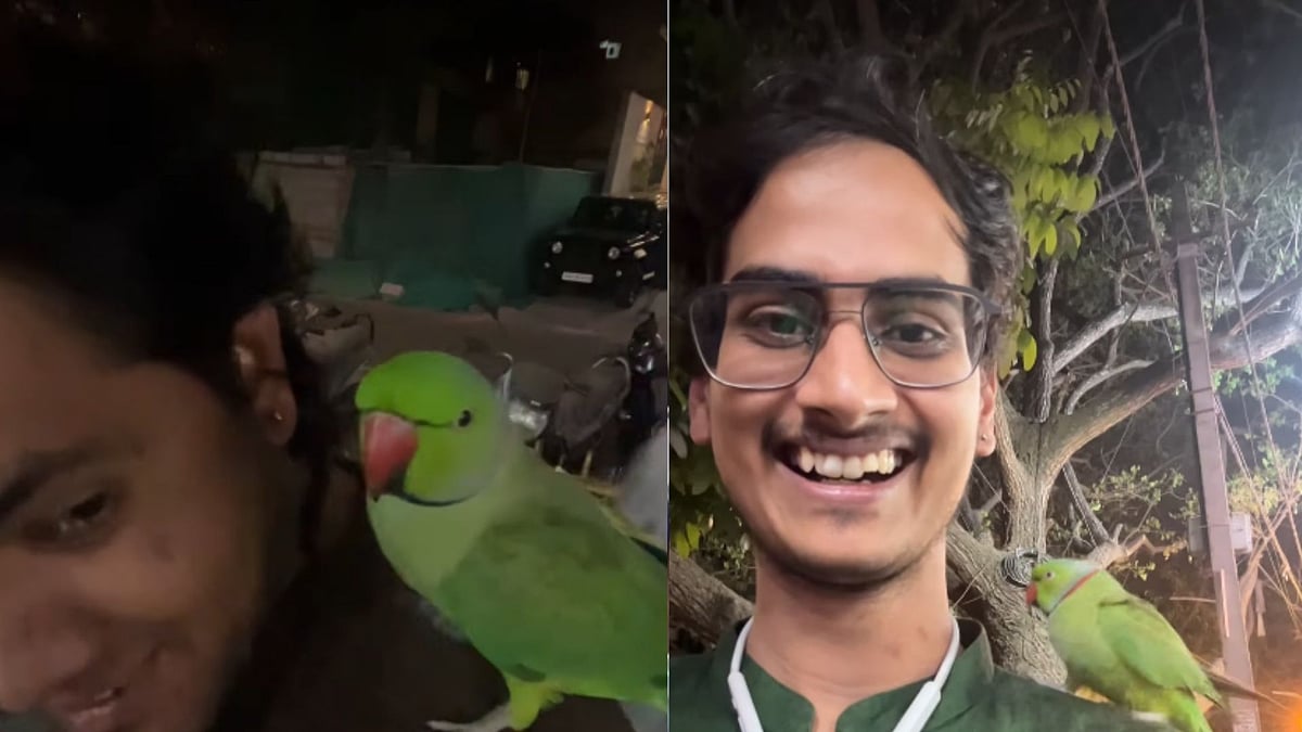 Watch: Bengaluru Man Meets Auto Driver With Pet Parrot, Internet Calls It ‘Cutest Thing Today' 