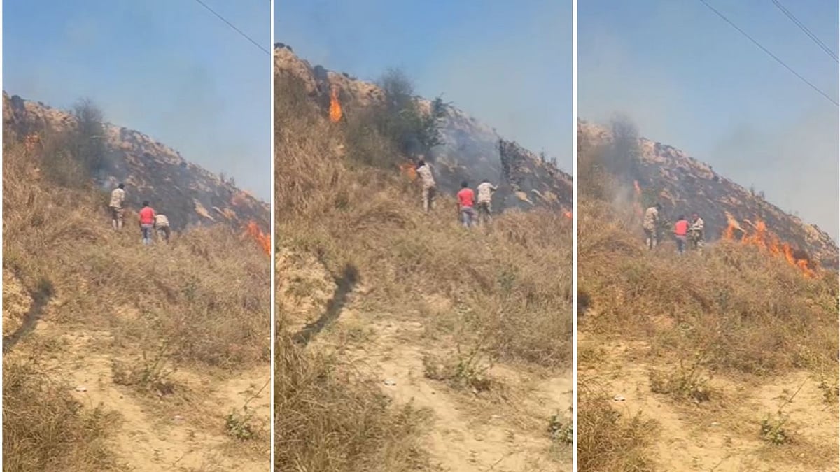 MP News: Dry Bushes Sparks Massive Blaze Near Chambal Ravines In Morena; Efforts On To Douse Flames-- VIDEO