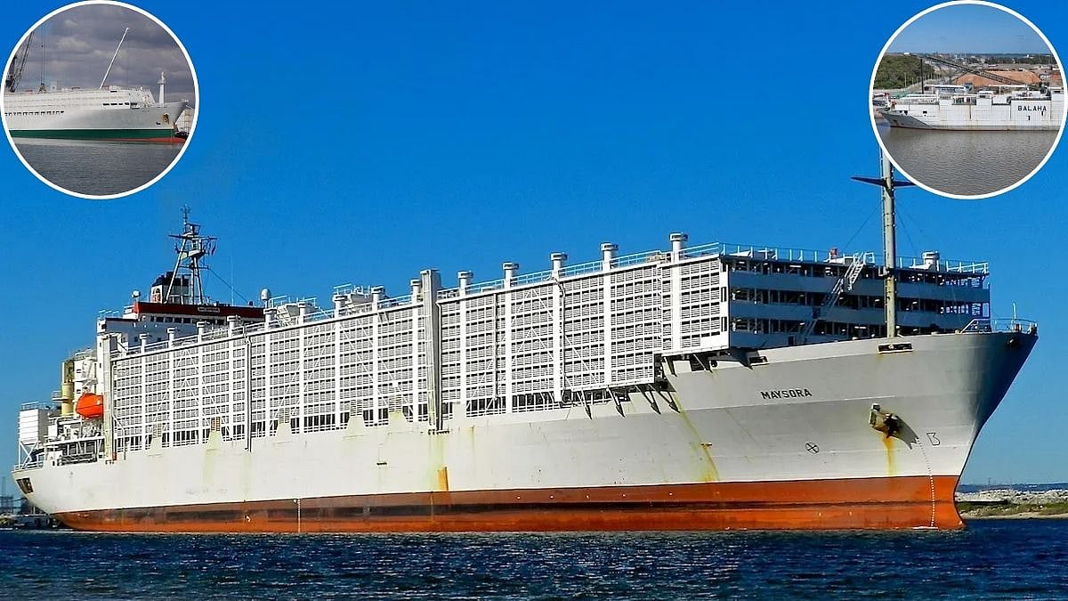 Middle East Conflict Disrupts Maritime Trade: Nearly 3,000 Ships And 45,000 Sailors Stranded As Israeli–US Raids On Iran Halt Shipping