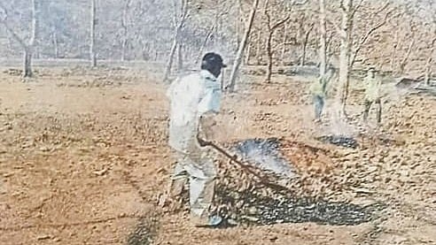 MP News: Dry Weather, Winds Fuel Forest Fires Across Bagli Range | FP Photo