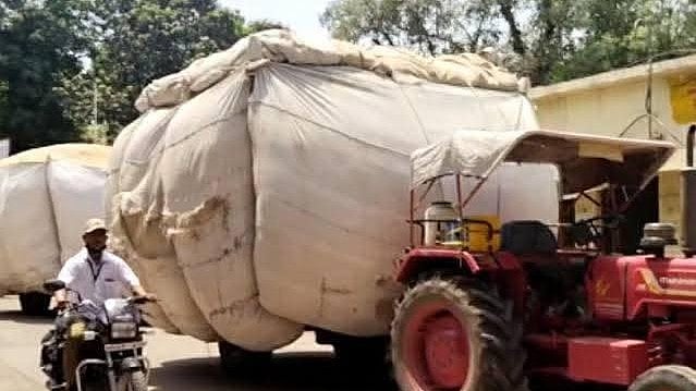 MP News: Neemuch Bans Fodder Export Until June