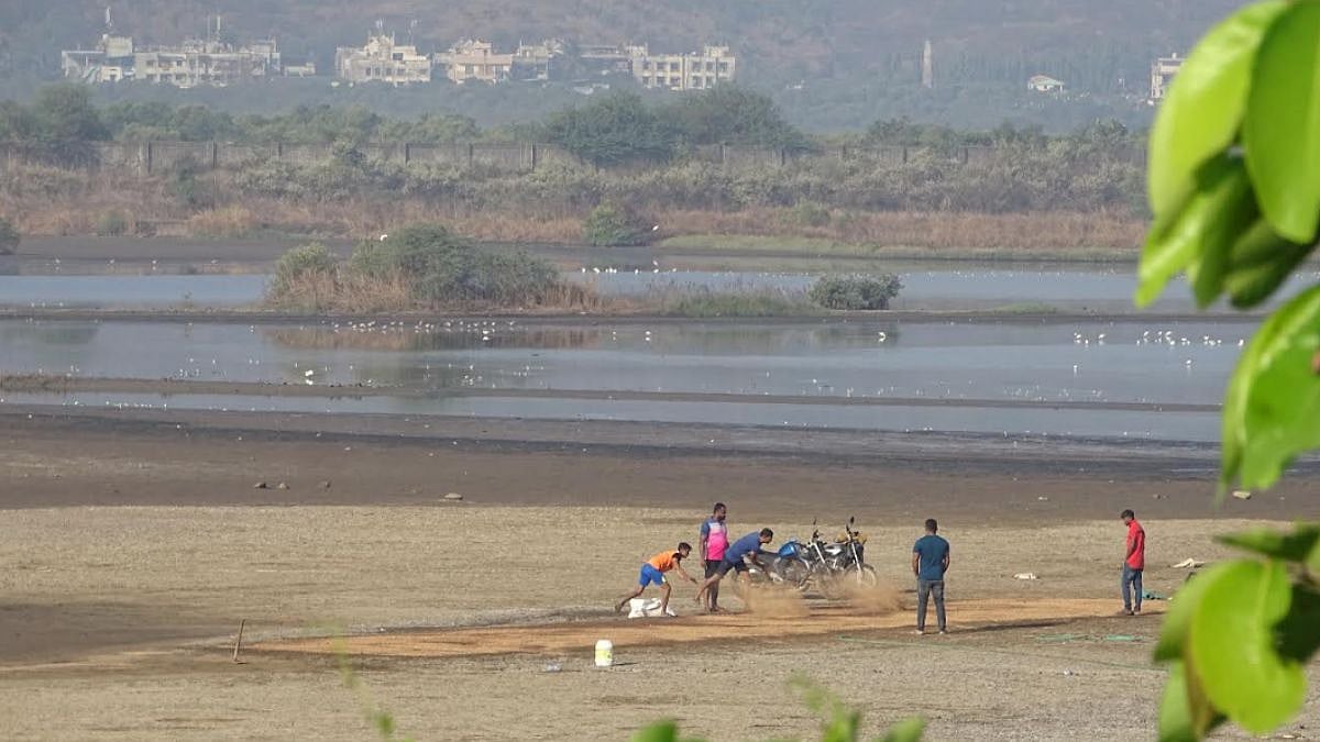 Maharashtra: Legal Protection For 23,000 Wetlands Stalled In Red Tape Despite NCSCM Survey