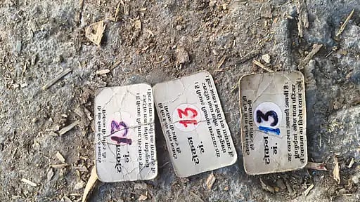 Indore News: Ashes Of Deceased Exchanged After Token Mix-Up At Pachkuiya Cremation Ground; Three Families Get Same Number