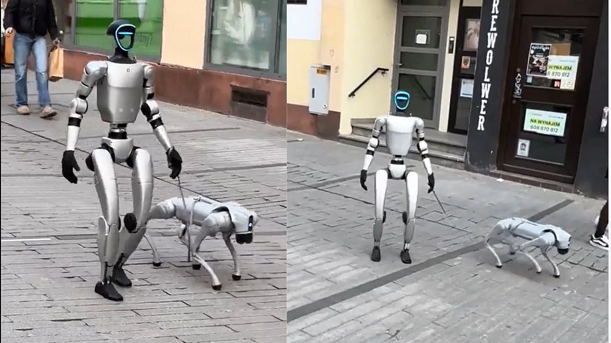 Humanoid Robot Goes For A Stroll With A Robot Dog: Unitree's Viral Moment Has the Internet Talking