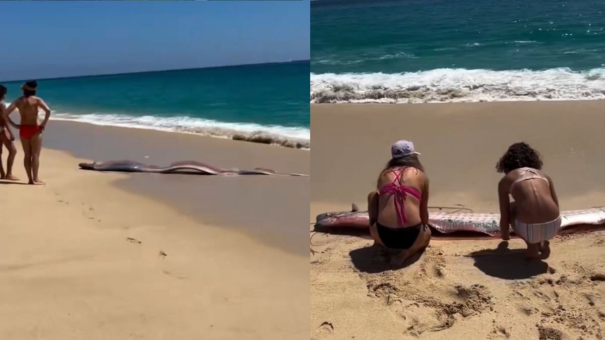 Sisters Spot ‘Doomsday Fish’ On Mexico Beach: Video Of Massive Oarfish Appearance Goes Viral; Sparks Curiosity Online